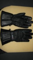 Leather Thinsulate gloves.JPG