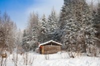 8659865-cabin-in-winter-forest.jpg