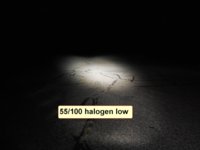 55 100 halogen low.JPG