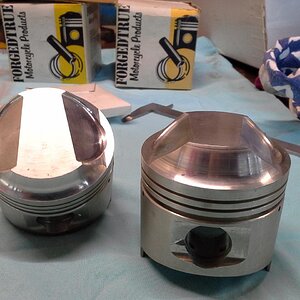 Forged true pistons 256 75mm + .025