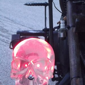 led skull light