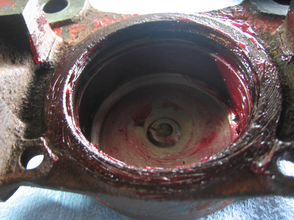 build-brake-caliper-smeared-with-red-rubber-grease.jpg