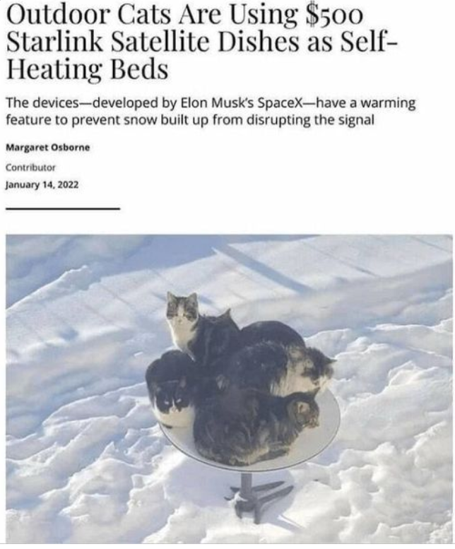 cats on sat dish.PNG