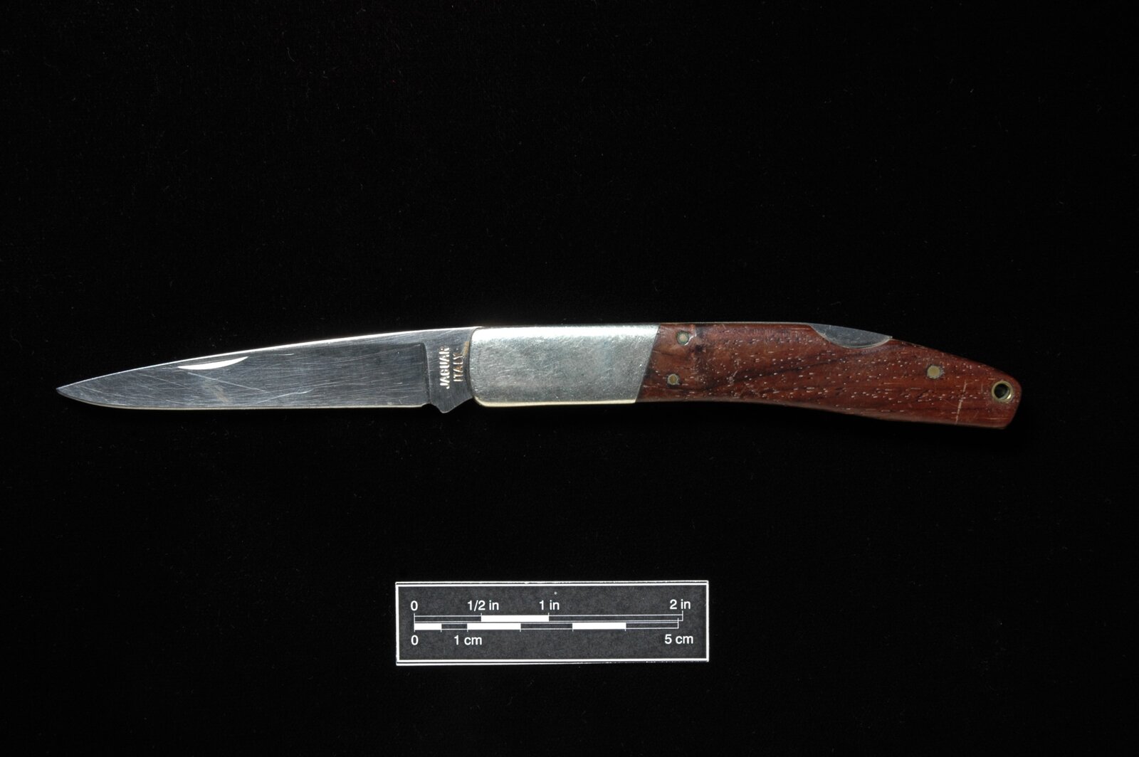 Knife - Italian Jaguar.jpg