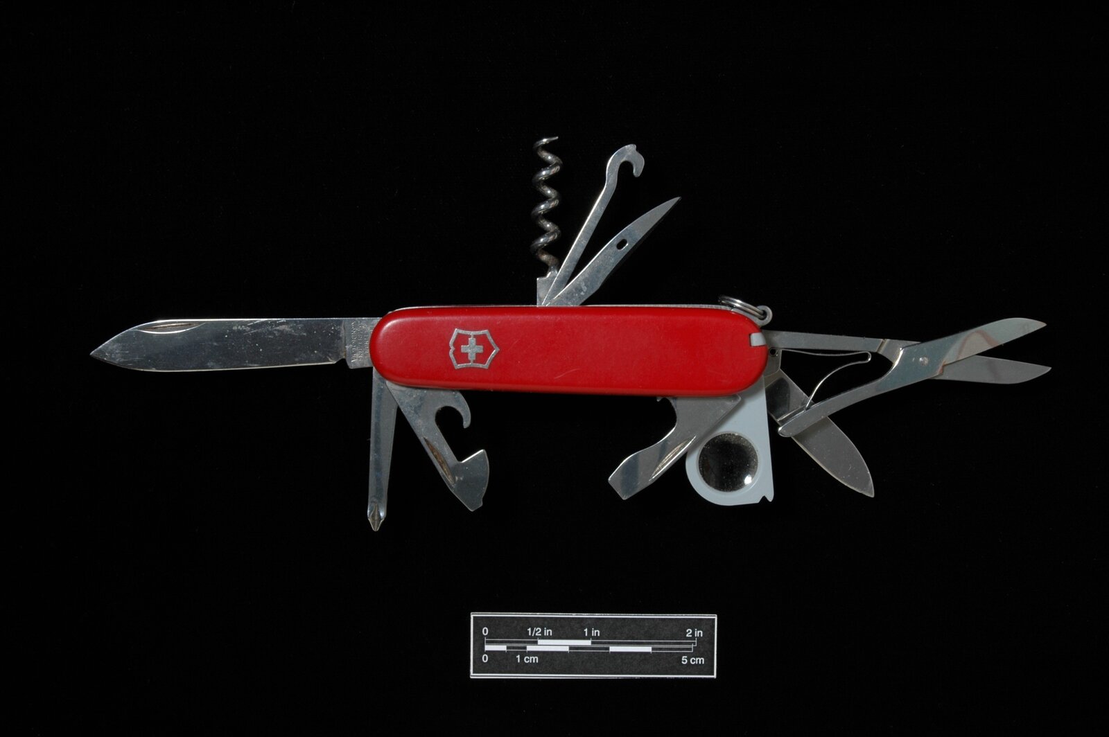 Knife - Swiss.jpg