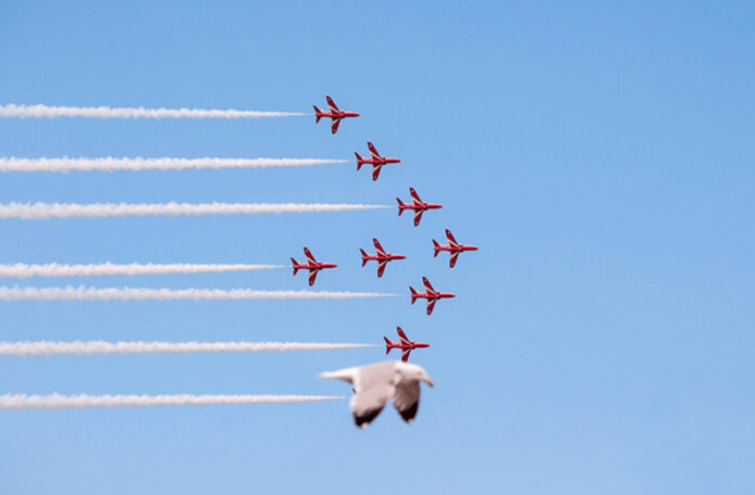 RED ARROWS.PNG