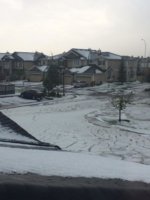 Calgary hail.jpg