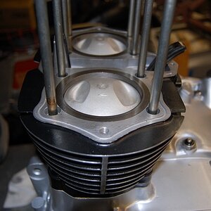 Fresh bore and pistons